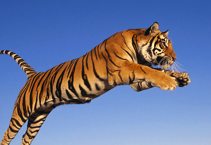 25 lat polskiego cudu gospodarczego