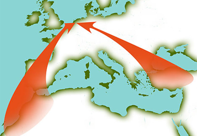 Historia holenderskiej imigracji - trzecia fala: więcej gastarbeiterów!