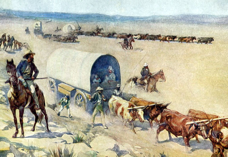 Holenderski rodowód Południowej Afryki