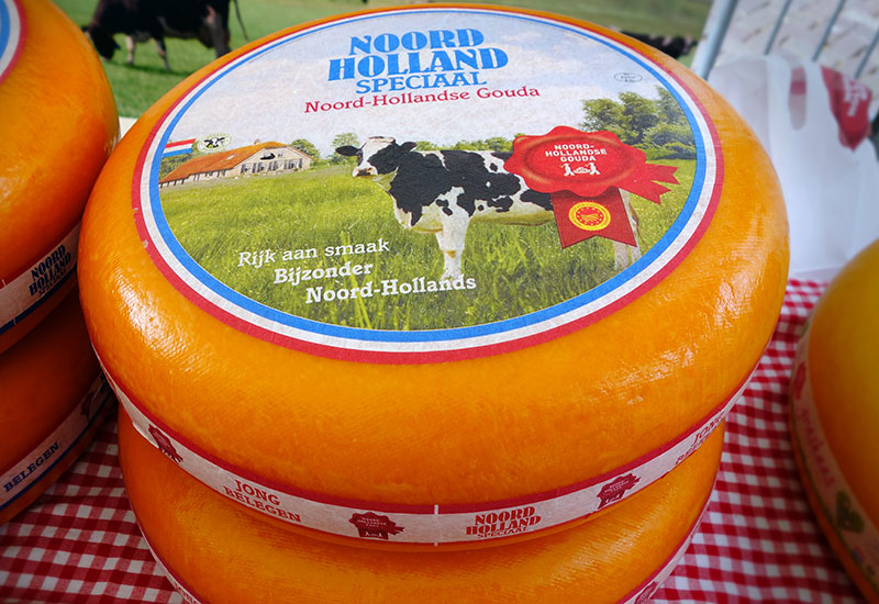 Alkmaar - turystyczna stolica holenderskiego sera