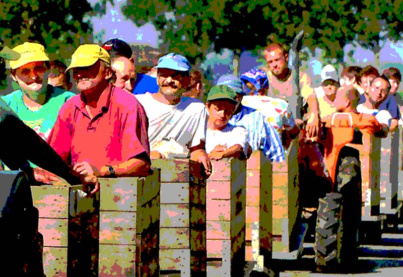 Czy Polacy zostaną w Holandii?