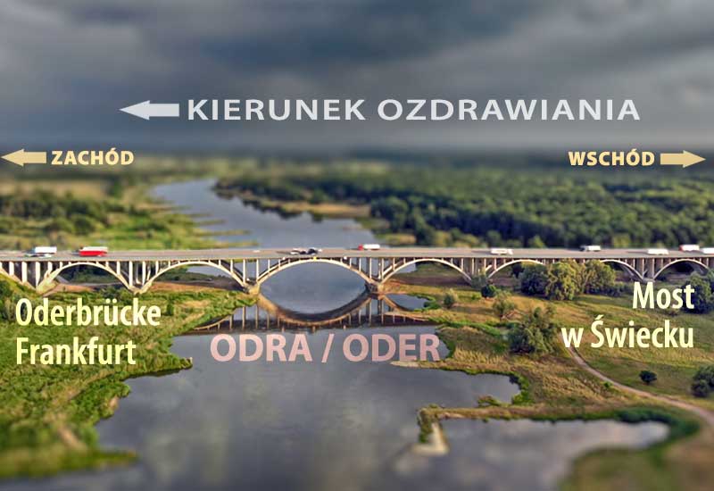 Recepta Jak nigdy nie chorować