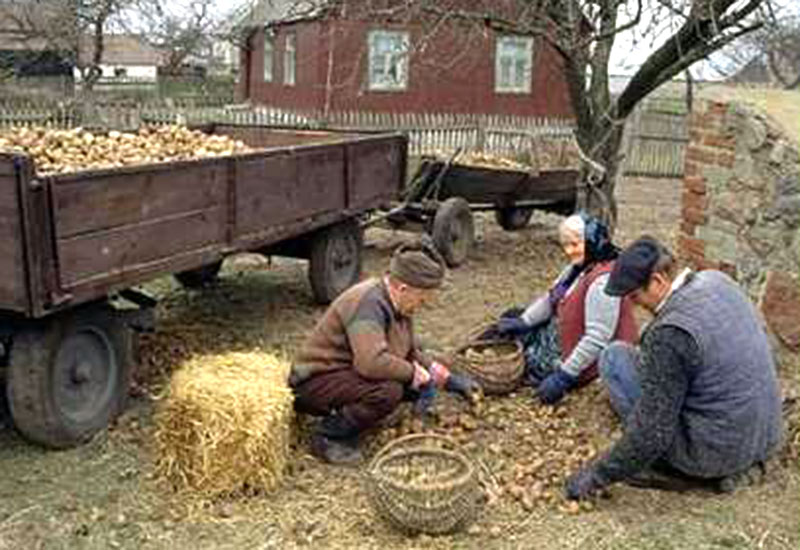 Nowoczesna Europa ziemniakiem stoi