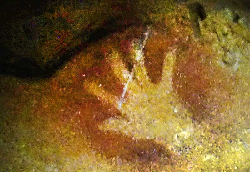 Krótka historia 70.000 lat komunikacji