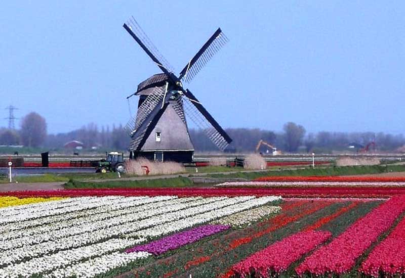 Rola i szansa holenderskiej gospodarki w świecie