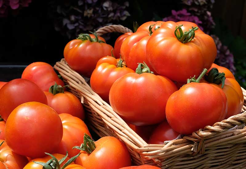 Holenderskie pomidory i nasiona