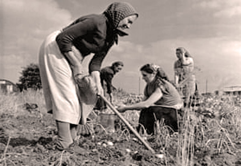 Imigracja jest dobra dla bogatych