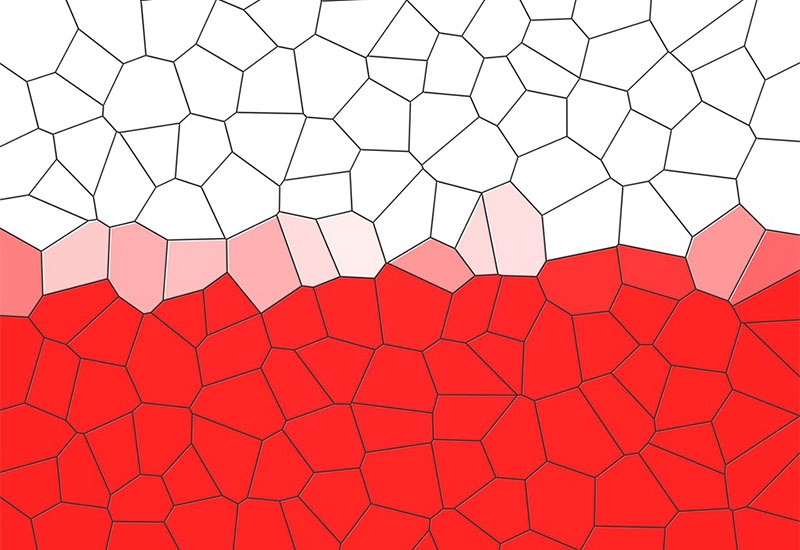 Jak Polak z Polakiem