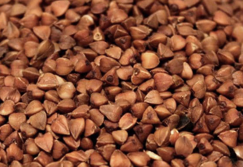 Kasza gryczana czyli pogańskie krupy