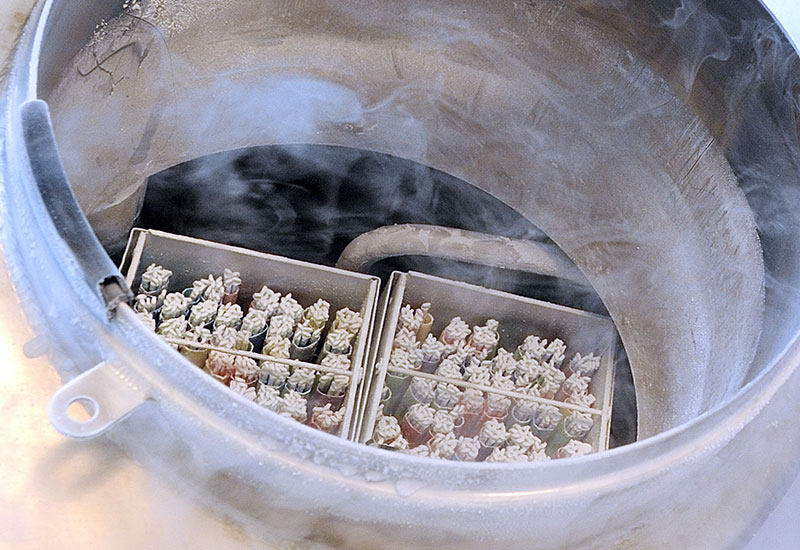 Kobieta z zamrożoną komórką jajową