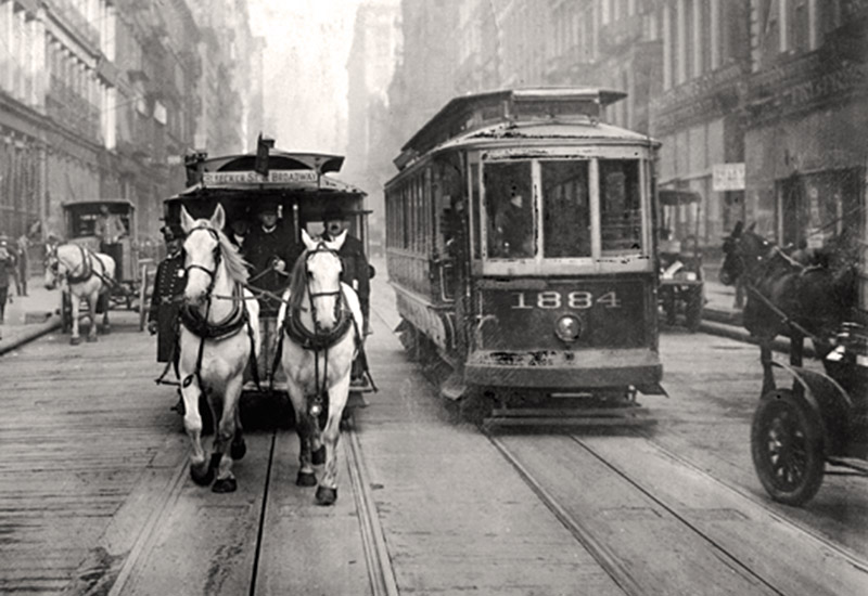 Koń biologiczny i mechaniczny