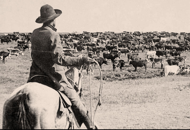 Koordynator z holenderskiej agencji pracy