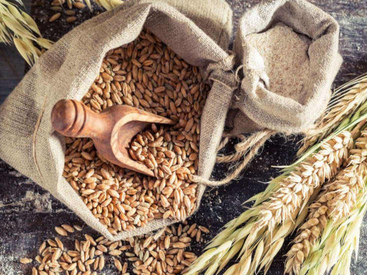 Kto zboże posiada...