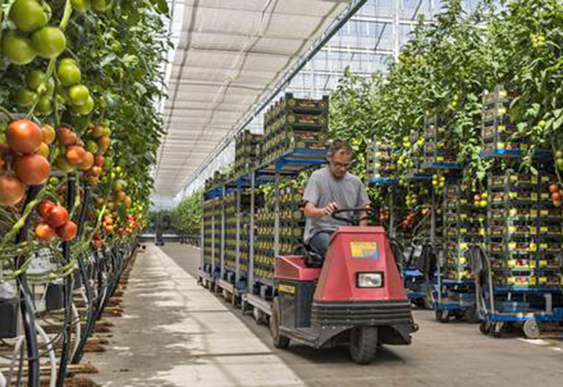 Nowa ustawa - lepsze warunki dla pracowników tymczasowych w Holandii