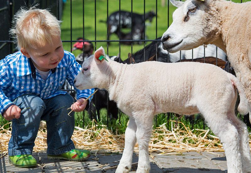 Z każdym dniem dostrzegam więcej podobieństw między Polską a Holandią