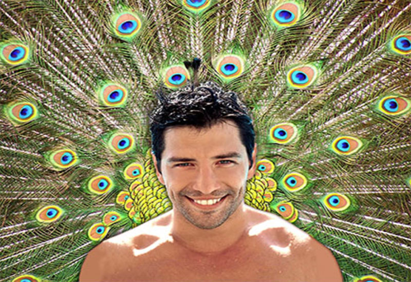 Bezużyteczność mężczyzn 