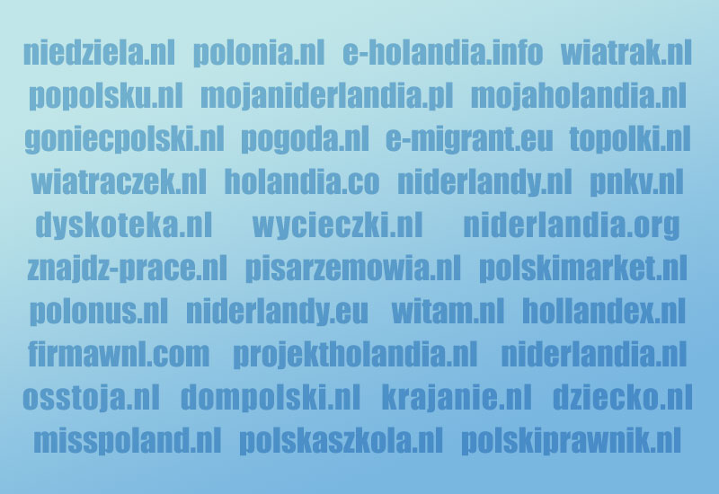 Najpopularniejsze polskie strony w Holandii