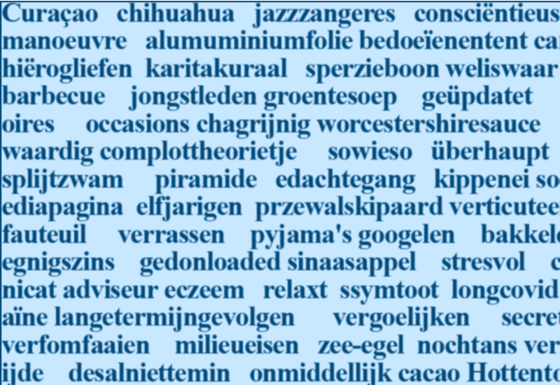 Wielkie Narodowe Dyktando języka Niderlandzkiego