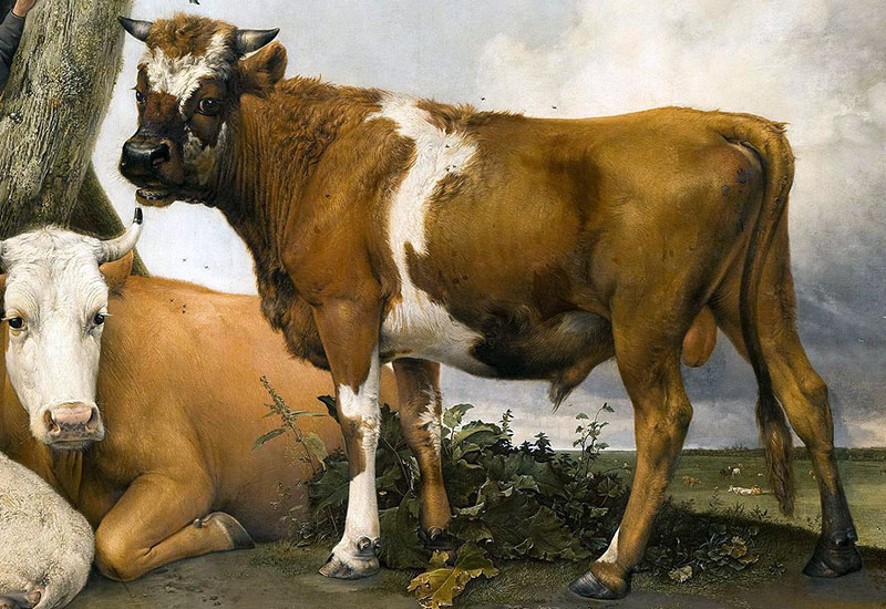 Paulus Potter 