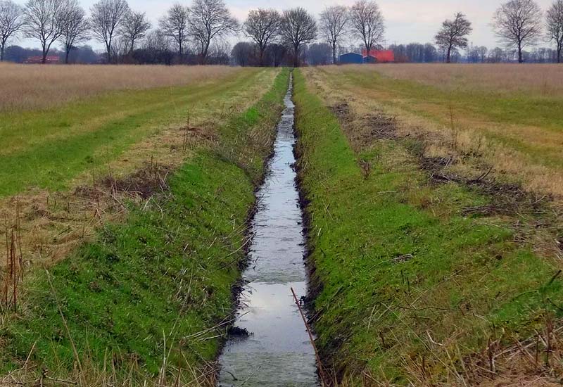 Polder - co to jest?