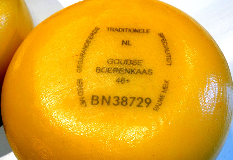 Produkcja rolna Holandii