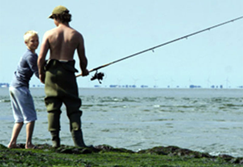 Wędkarstwo i ryby w Holandii