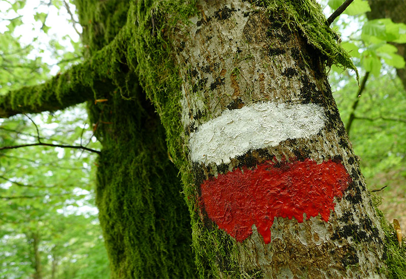 Wędrówka po Ardenach