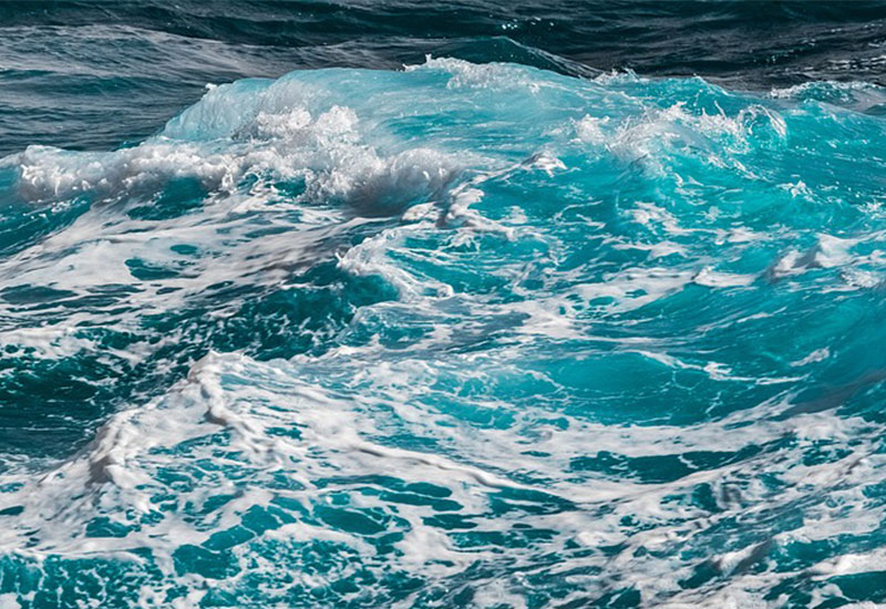 Holendrzy mają setki słów na określenie rodzajów wody