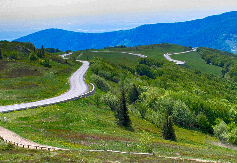 Alzacja, kraj idealnych wakacji