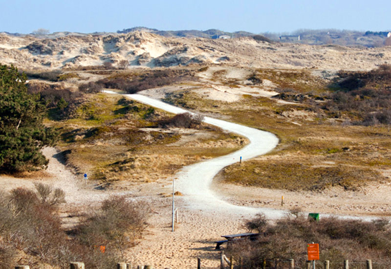 Wassenaarse Duinen (Wydmy w Wassenaar)