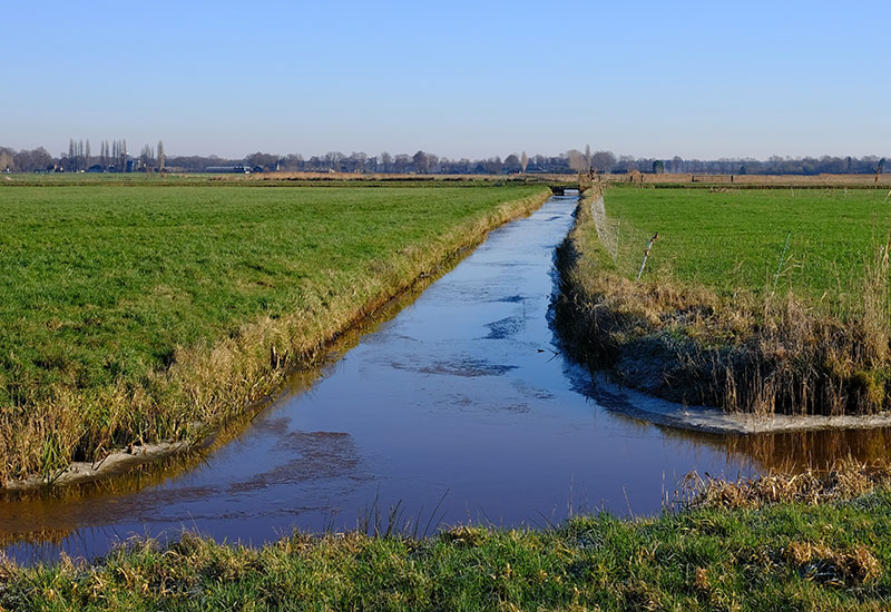 Holenderskie bagna i torfowiska