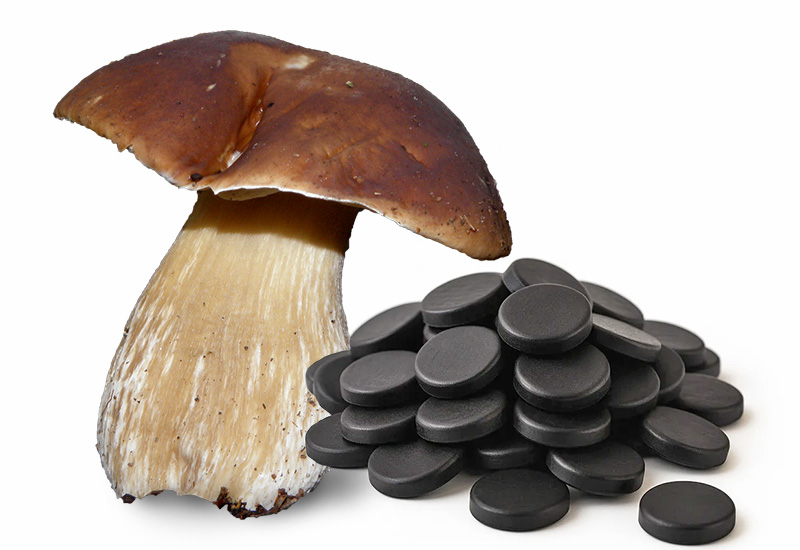 Paddestoelen en Drop (grzyby i lukrecja)