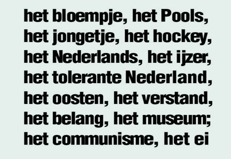 Przeklęte holenderskie rodzajniki de het een