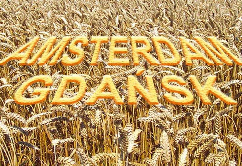 Holenderscy kupcy i polscy magnaci