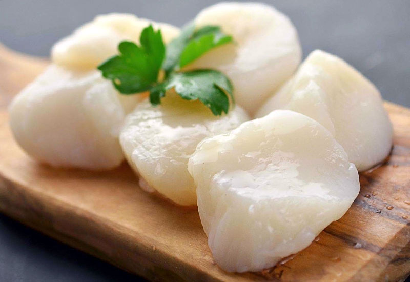 Muszle świętego Jakuba