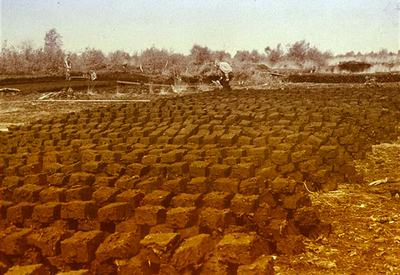 Depresja na torfowisku - historia holenderskiego paliwa