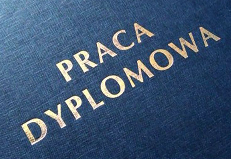 Praca dyplomowa: Polacy w rotterdamskich teatrach (2011)