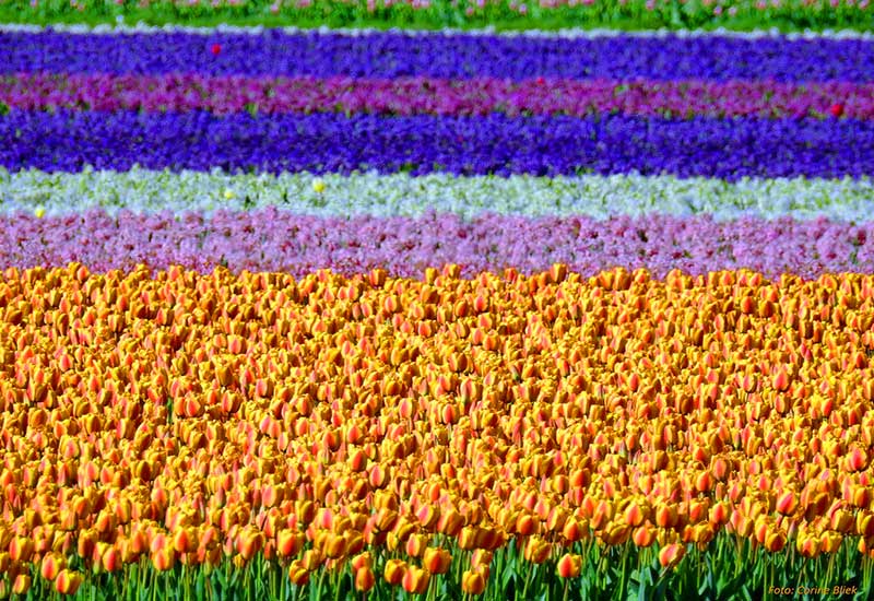 Najbardziej przeludniony kraj