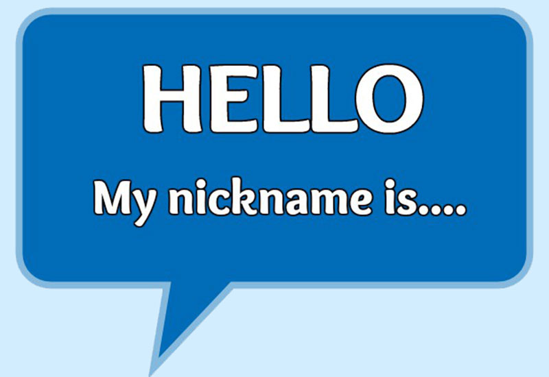 Przezwiska, przydomki i pseudonimy po holendersku