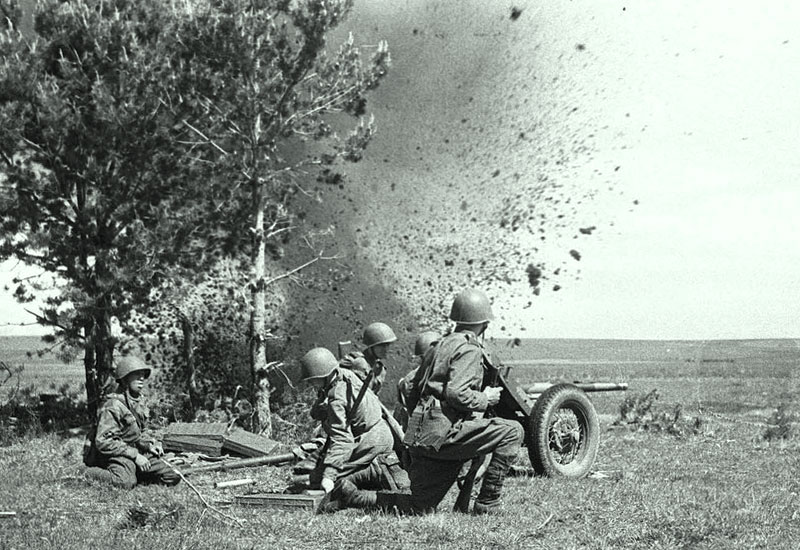 Krwawe statystyki ludzkiego obłędu