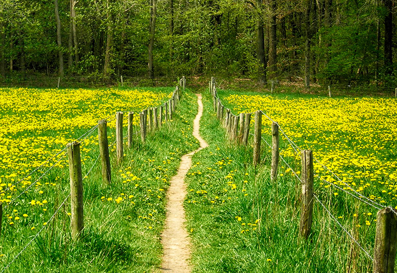 Szlak wędrowny przez Holandię