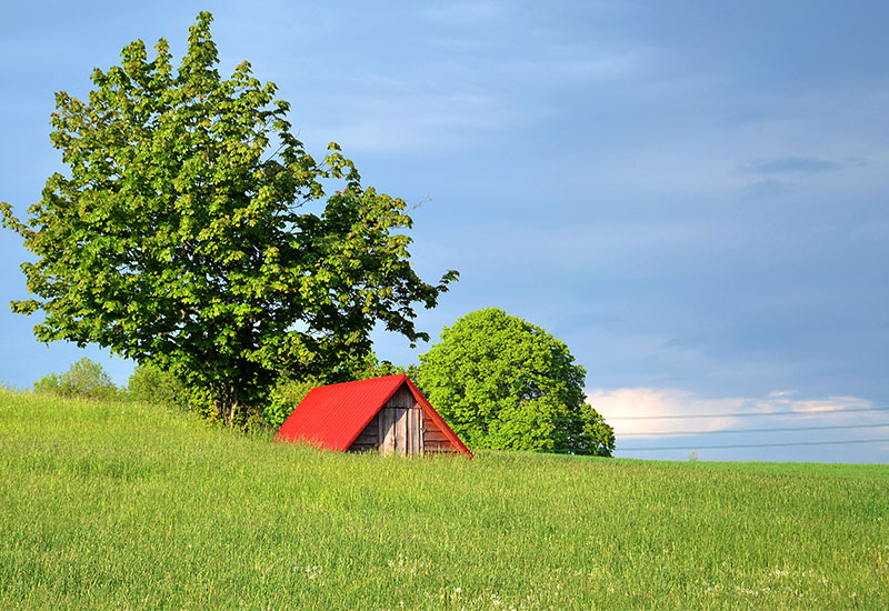 Ta ziemia taka czysta