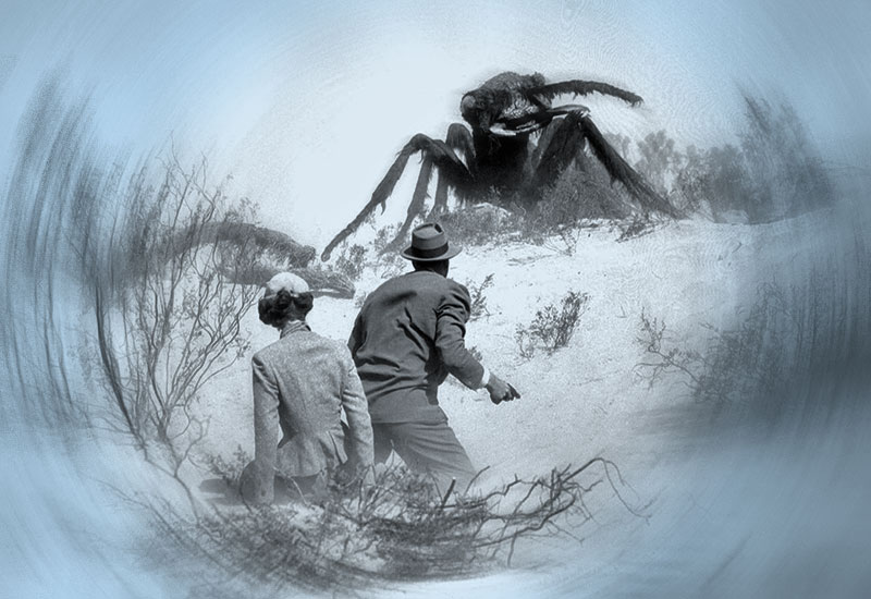 Nasze uprzedzenia do "nich"