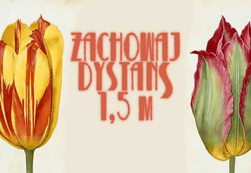 Dać się zwariować w czasach zarazy