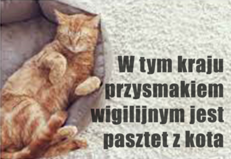 Żyjemy w społeczeństwie sensacji