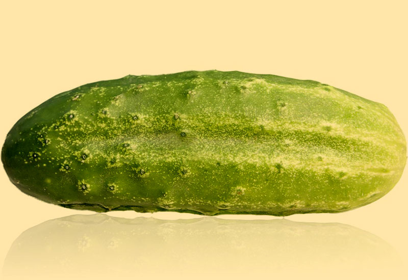 Żyjemy w wieku ogórka