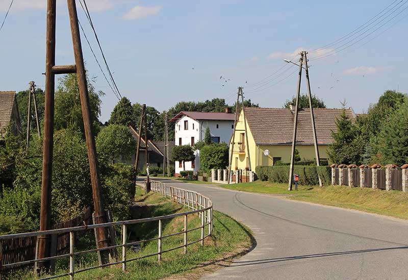 Zauważone w Polsce 2010