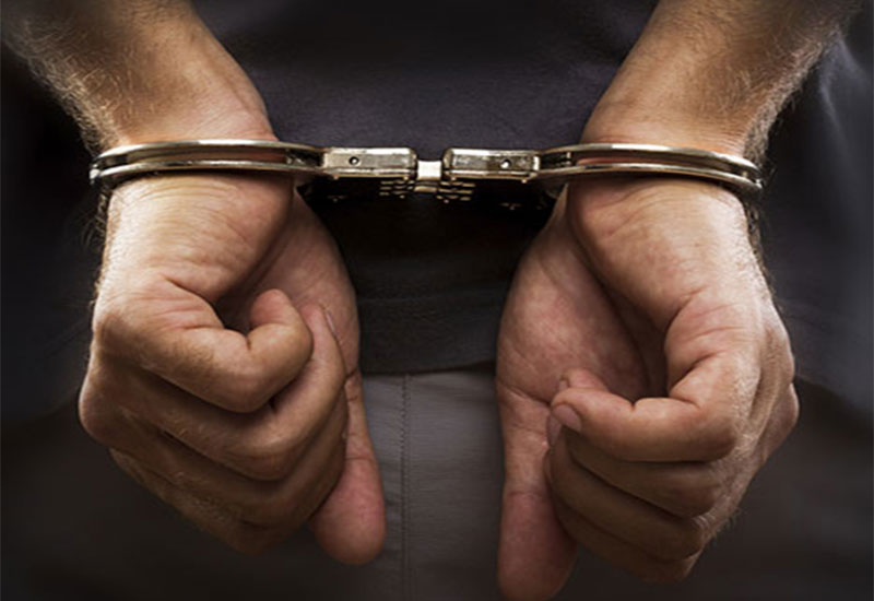 Zbrodnia i kara po holendersku