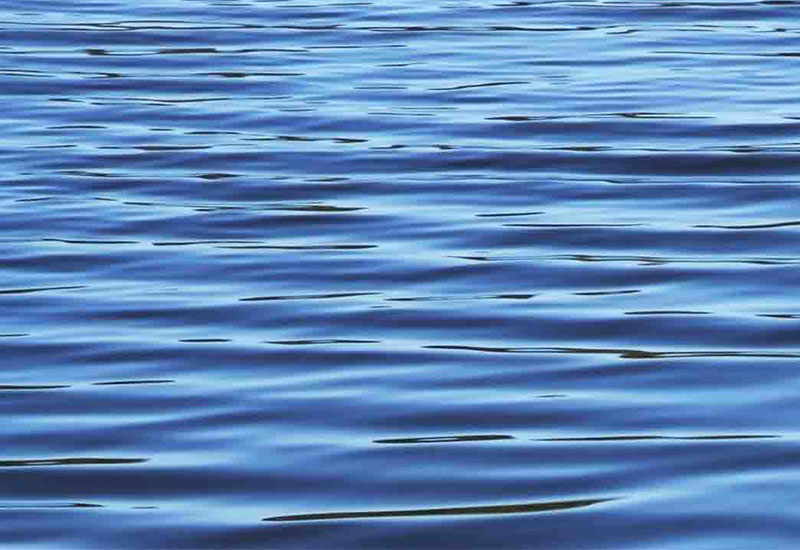 Zużycie wody na głowę mieszkańca Holandii